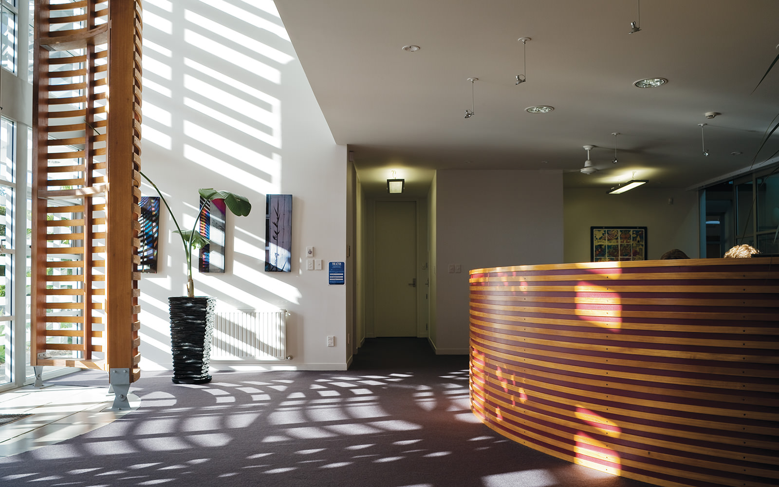 light filled foyer architectural school design