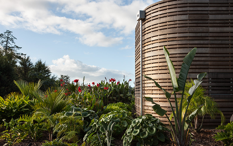 curved timber slats cladding