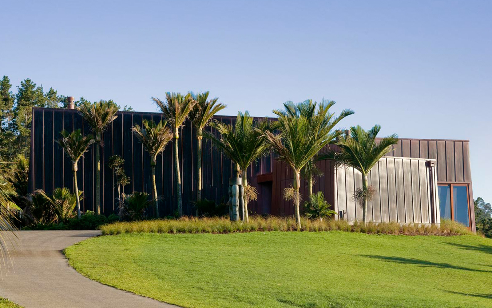 copper cladding and nikau palm trees