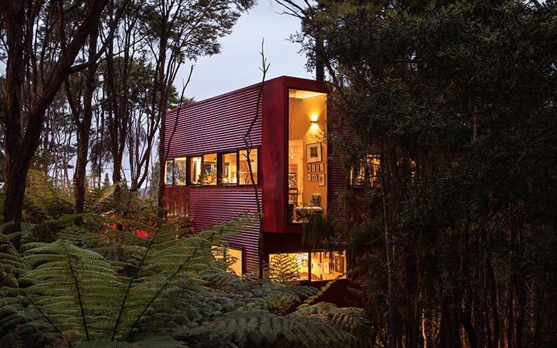red corrugated cladding in NZ bush light