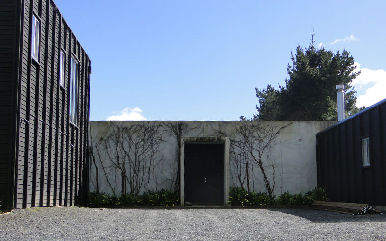 vines on concrete house entrance