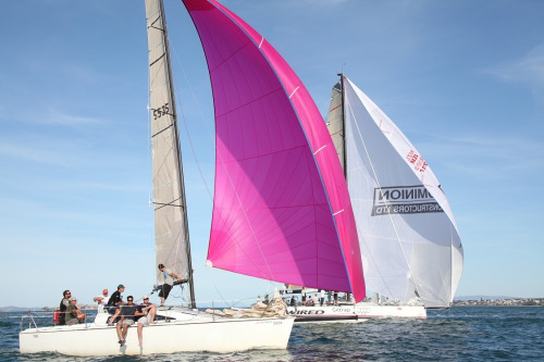 boat race pink sail